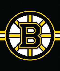 Boston Bruins Team Logo paint by number