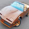 Brown Pontiac Trans Am paint by number