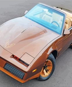 Brown Pontiac Trans Am paint by number