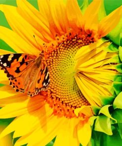 Butterfly On Sunflower Paint By Numbers