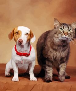 Cat And Jack Russell Dog Paint by number