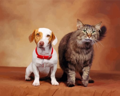 Cat And Jack Russell Dog Paint by number