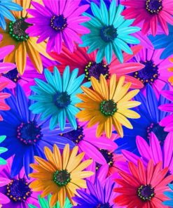 Colorful Sunflowers By Painting With number