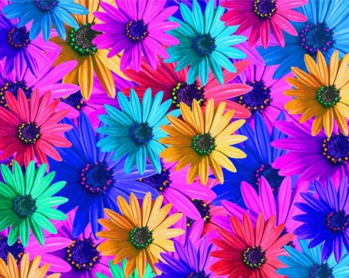 Colorful Sunflowers By Painting With number