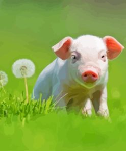 Cute Pig Paint by number