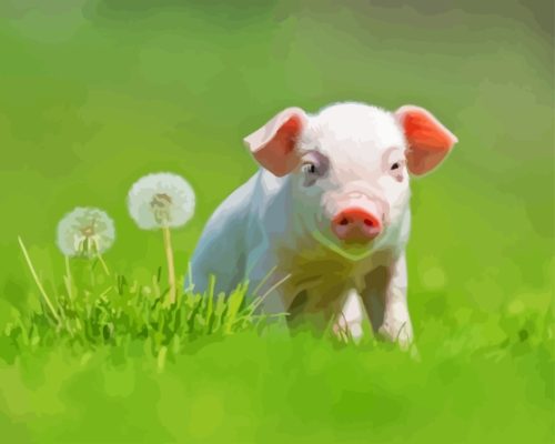 Cute Pig Paint by number