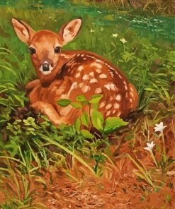 Cute Resting Deer Paint by number