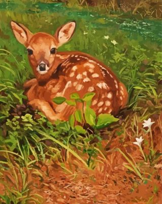 Cute Resting Deer Paint by number