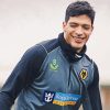 Footballer Raul Jimenez paint by number