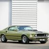 Green 1969 Mach 1 paint by number