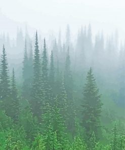 Green Trees In Fog Paint by number