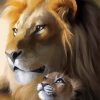 Close Up Lions By painting With Number