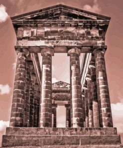 Penshaw Monument Monochrome Close Up In Pink paint by number