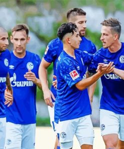 Schalke Fc Team Paint by number