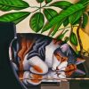 Sleepy Cat On Piano paint by number