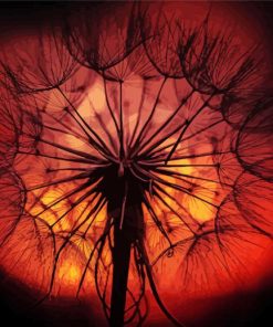 Sunset Dandelion Plant Silhouette paint by number