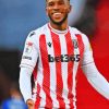 Tyrese Campbell Stoke paint by number