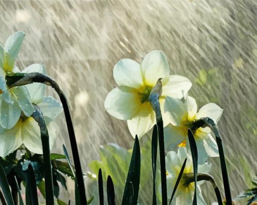 White Flowers In Rainy Spring Day paint by number