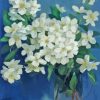 White Vintage Jasmine Flower paint by number