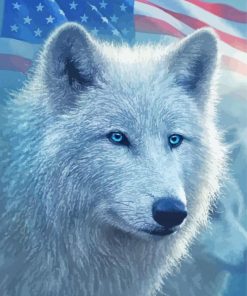 White Wolf And American Flag paint by number