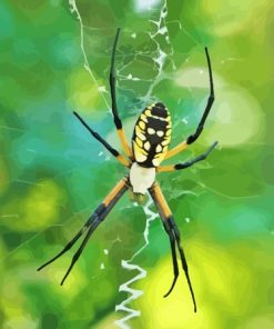 Yellow Garden Spider Paint by number