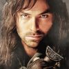 Aidan Turner With Long Hair Paint By Numbers