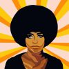 Angela Davis Art Paint By Numbers