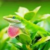 Anole Lizard On Plant Paint By Numbers