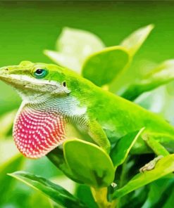 Anole Lizard On Plant Paint By Numbers