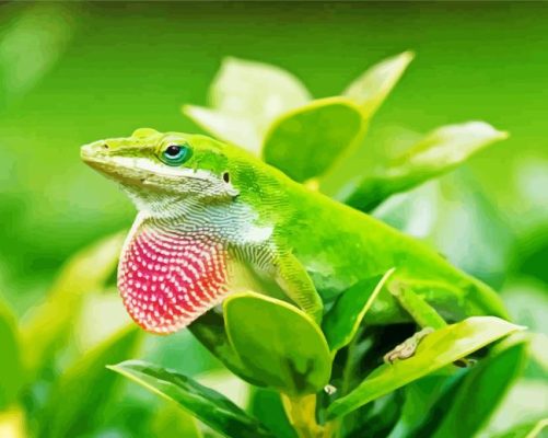 Anole Lizard On Plant Paint By Numbers