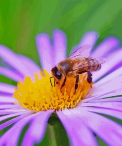 Bee On Purple Flower Paint By Numbers