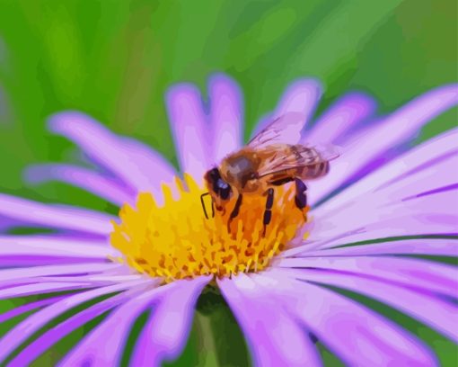 Bee On Purple Flower Paint By Numbers