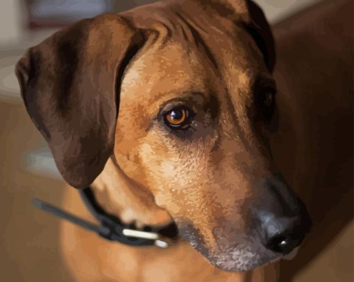 Close Up Brown Mountain Cur Paint By Numbers