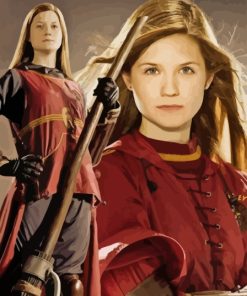 Harry Potter Ginny Weasley Character Paint By Number