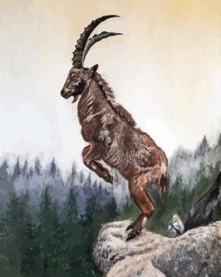 Markhor Art Paint By Numbers