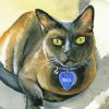 Neo Burmese Cat Paint By Numbers