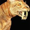 Saber Toothed Cat Animal Paint By Numbers