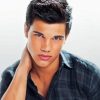 Taylor Lautner Paint By Numbers