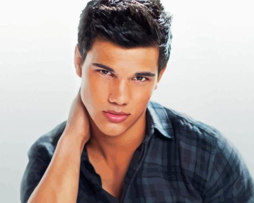 Taylor Lautner Paint By Numbers