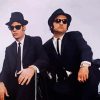 The Blues Brothers Paint By Numbers