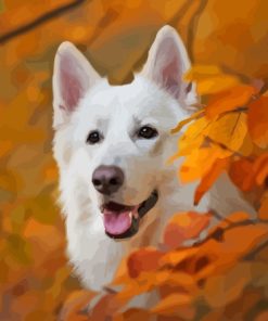 White Swiss Shepherd Dog Paint By Numbers