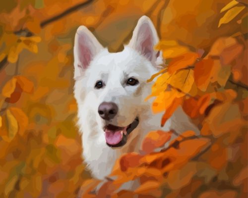 White Swiss Shepherd Dog Paint By Numbers