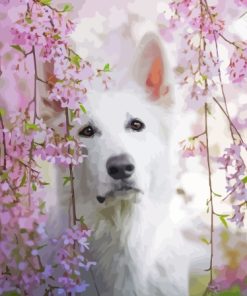 White Swiss Shepherd In Pink Flowers Paint By Numbers