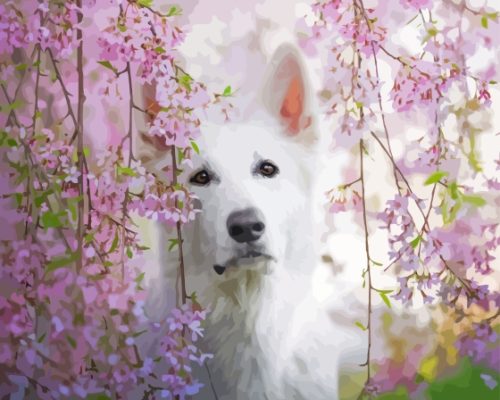 White Swiss Shepherd In Pink Flowers Paint By Numbers