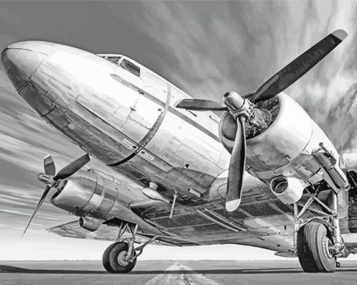 Black And White Vintage Plane Paint By Numbers