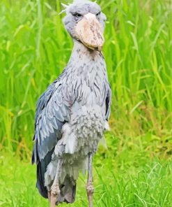 Nile Shoebill Paint By Numbers