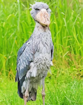 Nile Shoebill Paint By Numbers