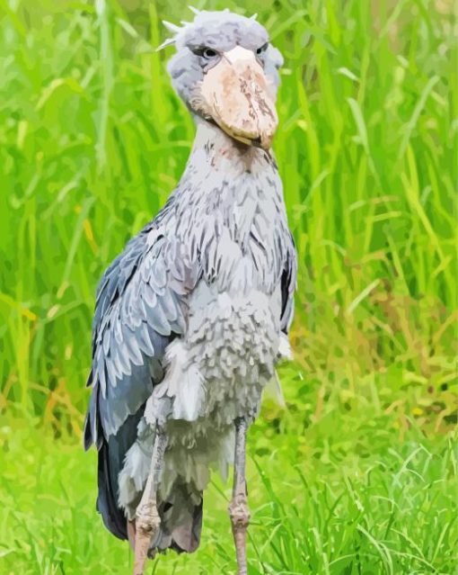 Nile Shoebill Paint By Numbers