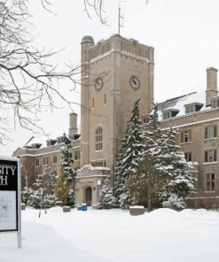 University Of Guelph In Winter Paint By Numbers