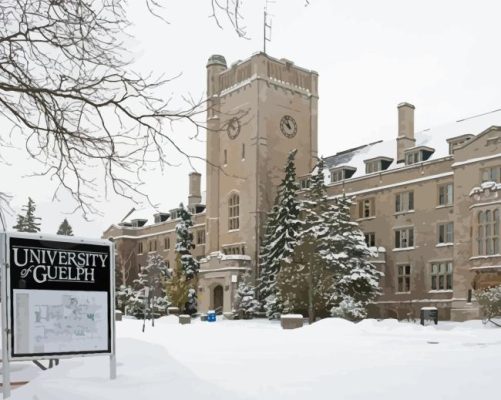 University Of Guelph In Winter Paint By Numbers